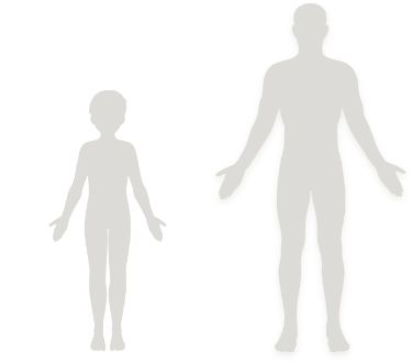 Icons of outlines of an adult body and a young child’s body.