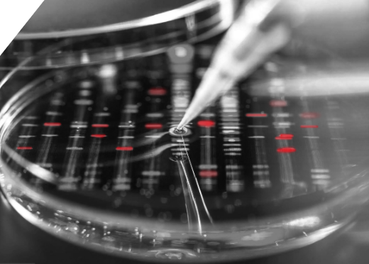 DNA sequences appear under a petri dish with a syringe in the middle.
