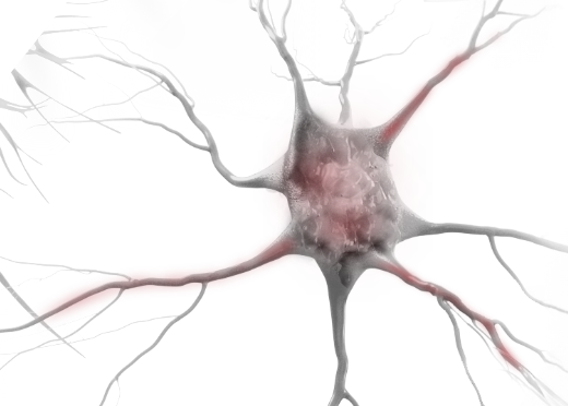 A black and white artistic rendering of an astrocyte and neurons with faint red coloration to suggest astrocyte reactivity.