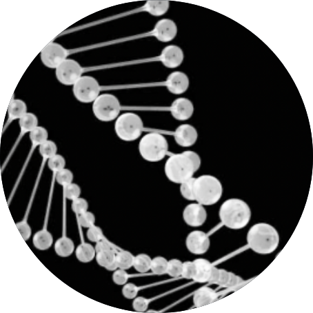 Black and white image of a DNA helix to depict a genetic test.